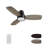 Gwan 44'' Flush Mount Ceiling Fan with Light-581862005