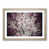 Oak Framed selected
