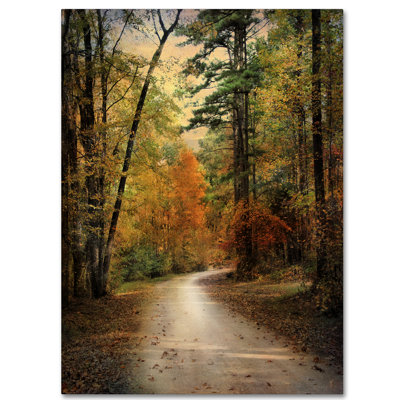 Vidur 'Autumn Forest 4' Photographic Print on Wrapped Canvas