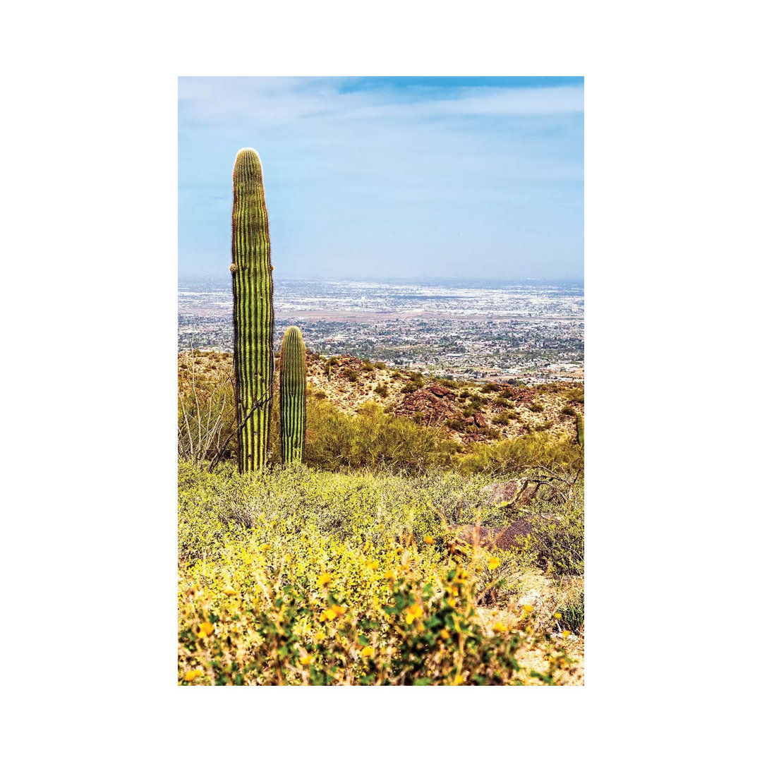Phoenix Arizona Desert With Saguaro Cactus And Cityscape - Wrapped Canvas Gallery-Wrapped Canvas Giclée