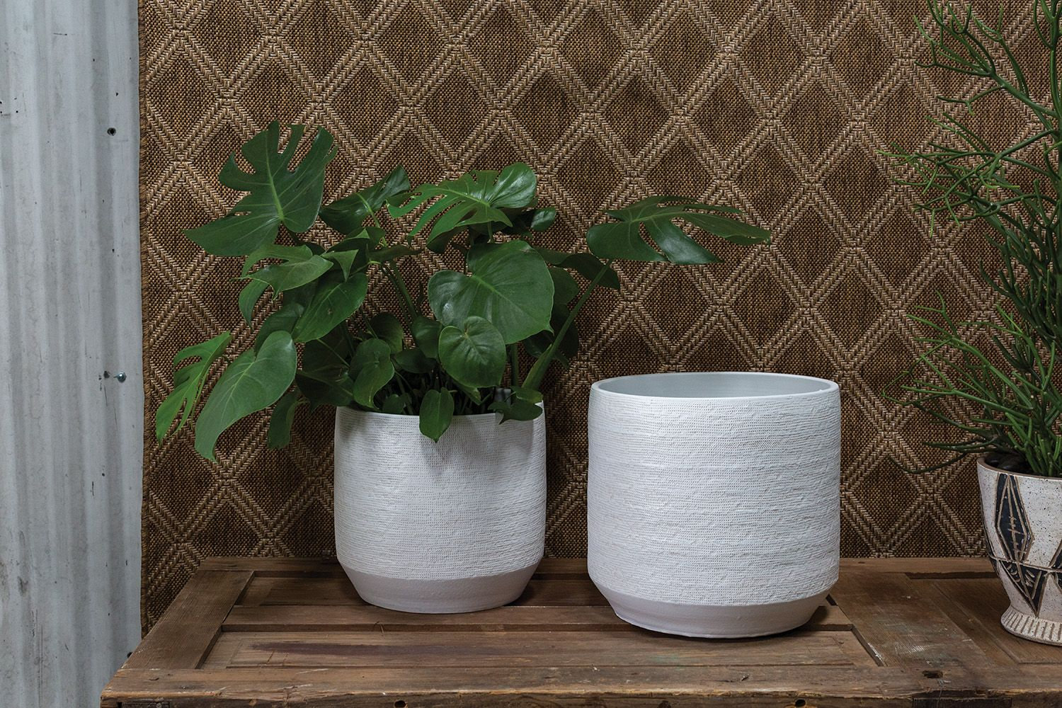 Bena 15" Ceramic Pot Planter, 13.5" H x 14.75" W x 14.75" D