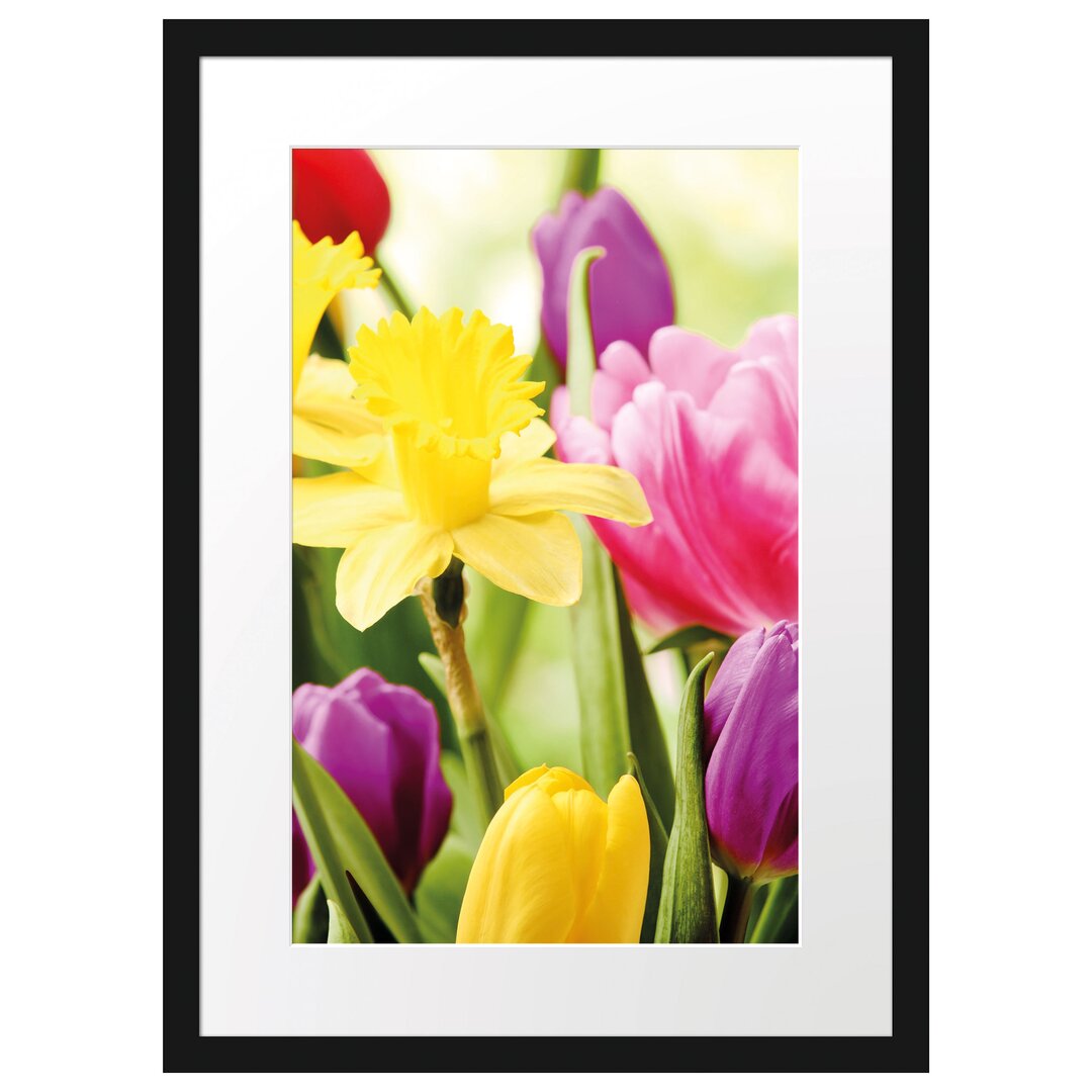 Gerahmtes Poster Osterglocken und Tulpen