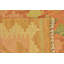 Tapis en laine orange 3 pi 3 po x 5 pi 2 po one-of-kind à la main noué la new age Elland