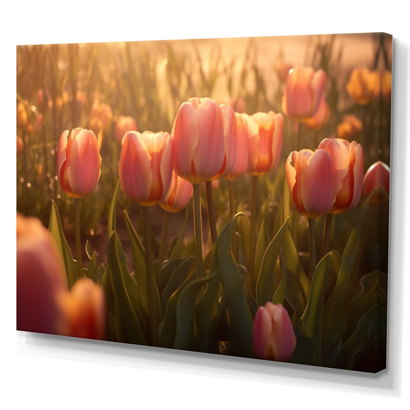 Champ de tulipes sur toile, Toile tendue, H 24 po x l 32 po x P 1 po