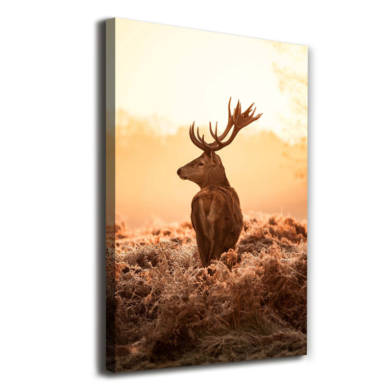 Deer Sunrise - Wrapped Canvas Print