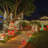 Solar LED Luminary & Pathway Lights