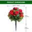 55cm Plant