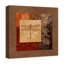 Libellule sur toile-1510484883