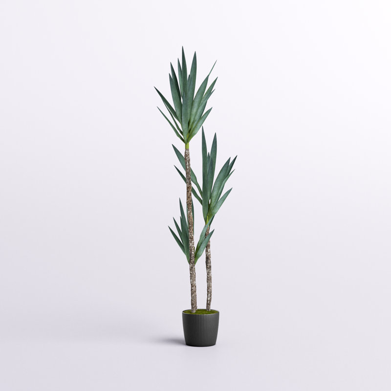 Artificial Green Yucca Tree in Black Planter Pot, 60" H x 12" W x 12" D