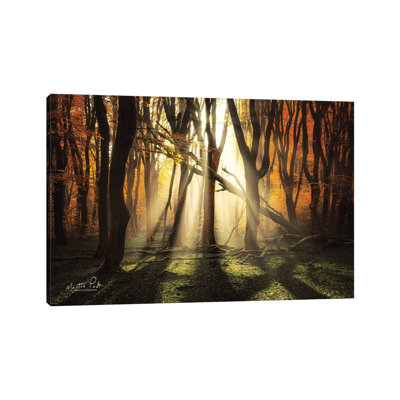The Awakening by Martin Podt - Wrapped Canvas Print