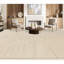Geometric Area Rug in Cream