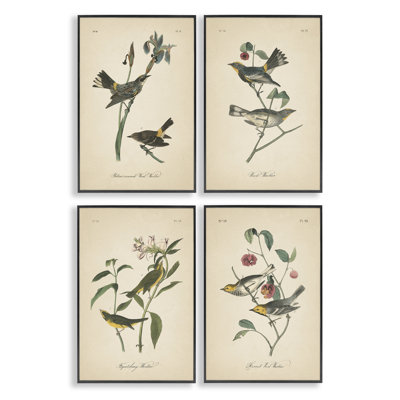  Vintage Study Birds & Plants 4 PC Giclee Art Set by Wild Apple Portfolio