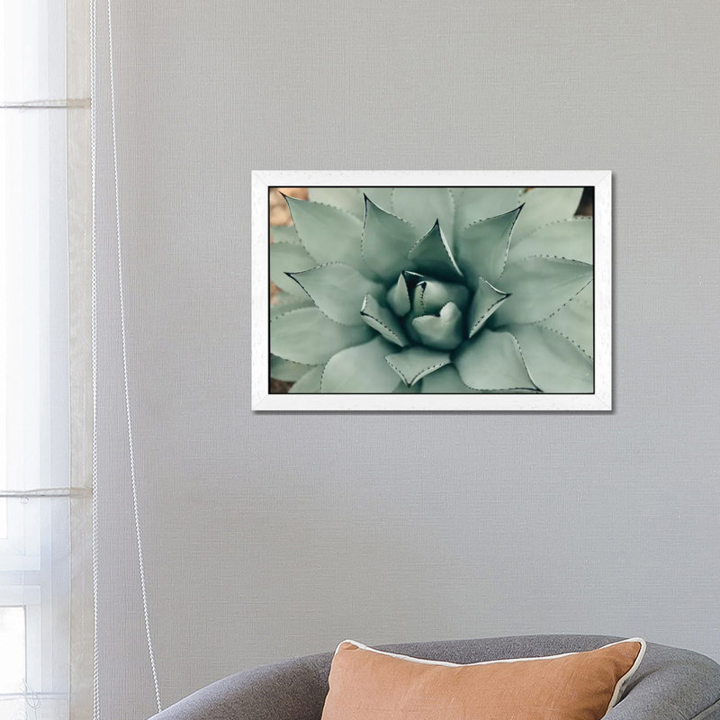 Mint Succulent I by Chelsea Victoria - Print, 101.6 cm H x 66.04 cm W, White Framed