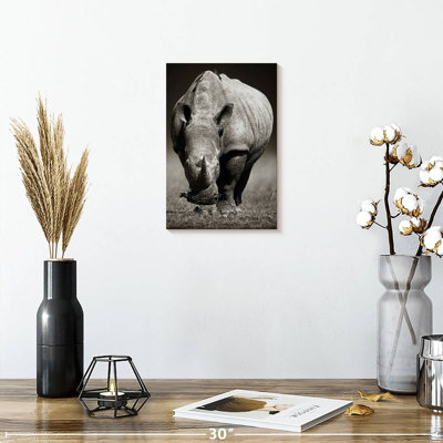 Brampt White African Rhinoceros