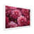 White Single Picture Framed