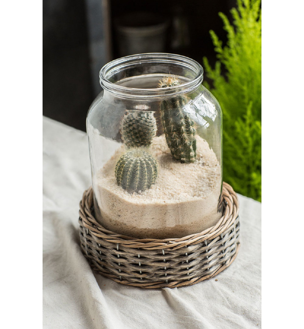 Kamp Terrarium Breakwater Bay