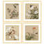 Masterpiece Collection Birds and Butterflies in Spring by Yu Zhi - 4 Piece Single Picture Frame Print Set-865847544