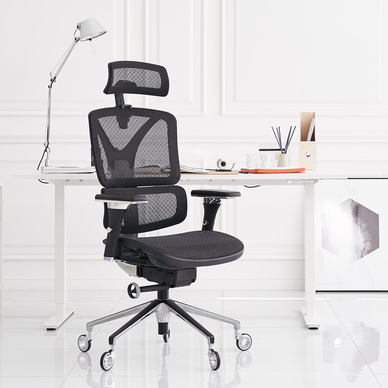 Chaise de bureau ergonomique à dossier lombaire en alliage d'aluminium Nouhaus, Noir