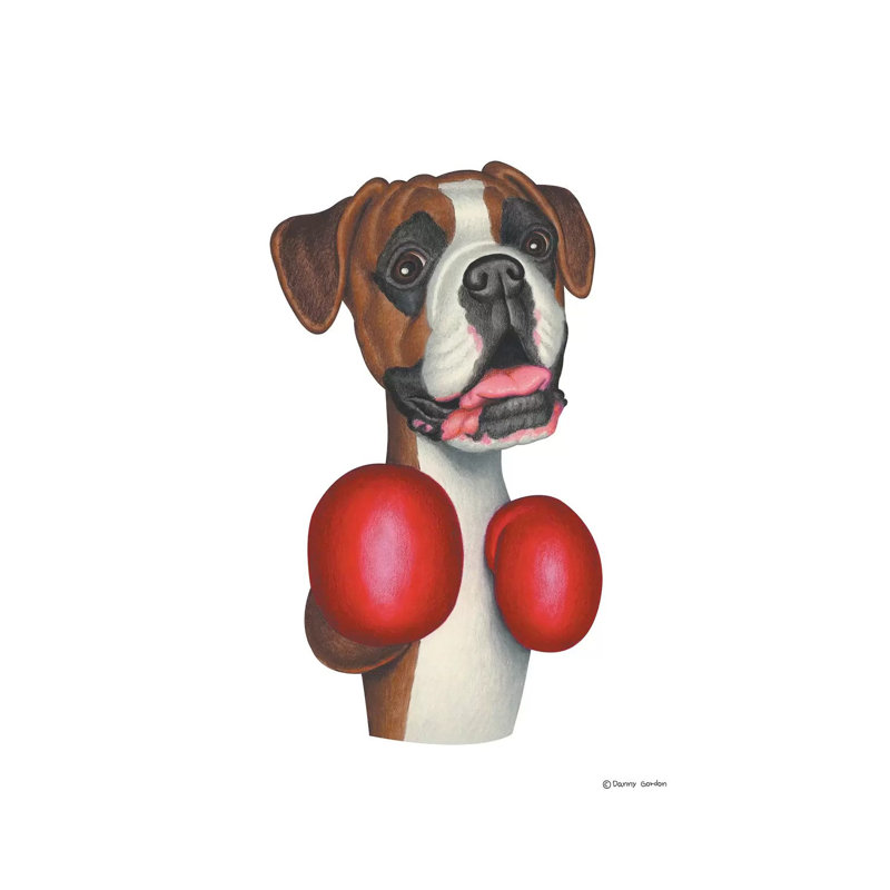Boxer Boxing by Danny Gordon - Wrapped Canvas Print
