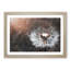 Floating Dandelion Seeds - Picture Frame Graphic Art Print-56713671-56713675
