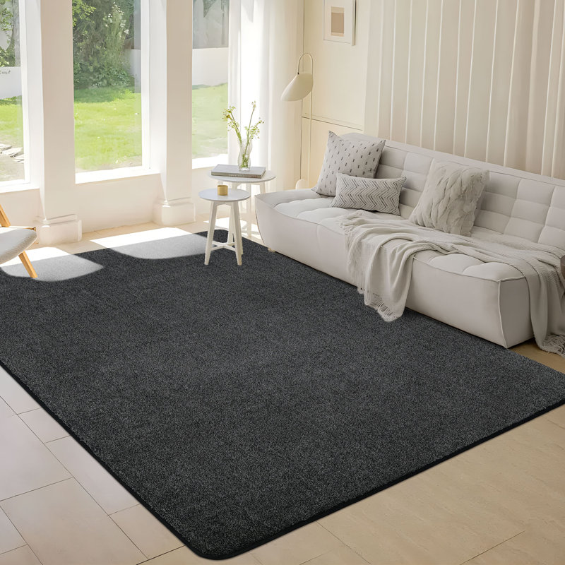 Area Rugs Washable Indoor Door Mat Non-slip Dirt Trapper Doormat Absorbent Welcome Mat for Front Door and Covered Outdoor Areas