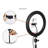 LINKPAL Desktop Mount