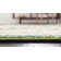Kalf Abstract Indoor Rug