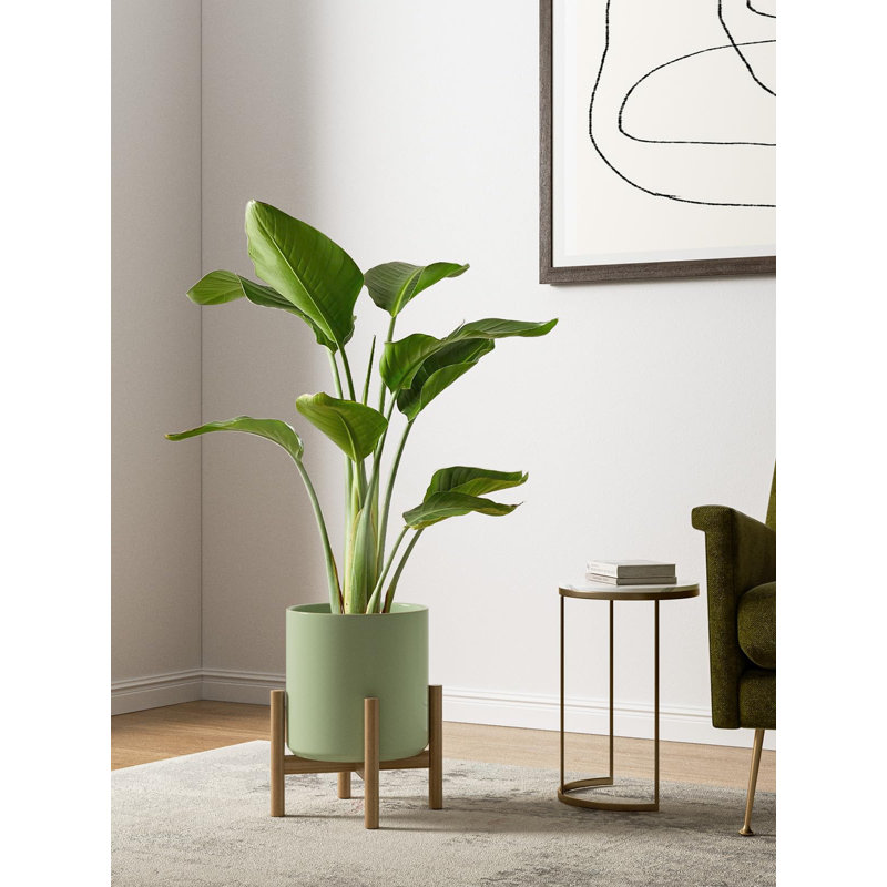 Olive Green Ceramic Indoor Planter Set with Drainage