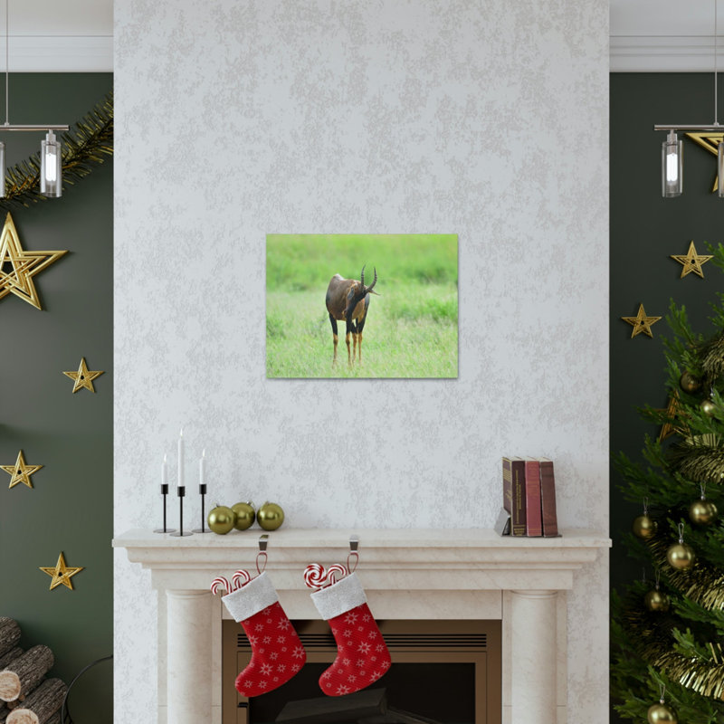 No Frame Print on Canvas, 27.94cm H x 35.56cm W