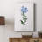 Cape Leadwort -Gallery Wrapped Cavas-1030220804