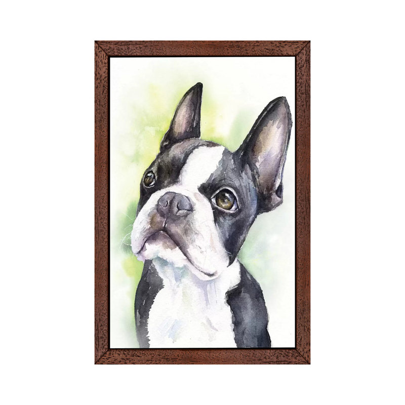 Boston Terrier Puppy by George Dyachenko - Floater Frame Painting on Canvas, Brown Framed
