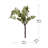 Fern Arrangement