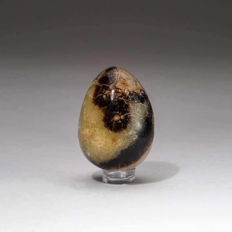 Polished Septarian Egg from Madagascar (0.1984 lbs)