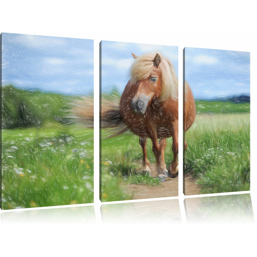 3-tlg. Leinwandbilder-Set „Shetlandpony auf der Wiese“, Grafikdruck