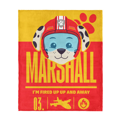 Paw Patrol High to the Silk Touch Throw Blanket Sky-High Adventure Graphic for Paw Patrol Fans