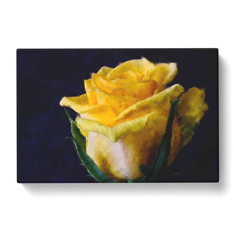 Yellow Rose Flower Vol.1 - Wrapped Canvas, 50cm H x 76cm W x 3cm D