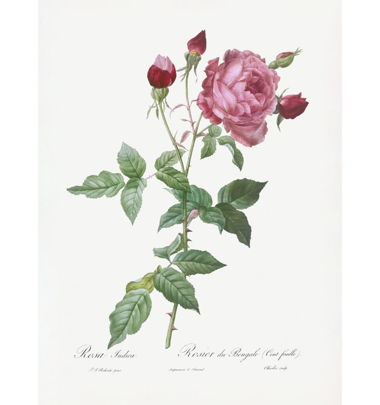Wrapped Canvas Print, 76.2cm H x 50.8 cm W