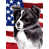 Border collie sélectionné