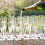 175ml Flute Set