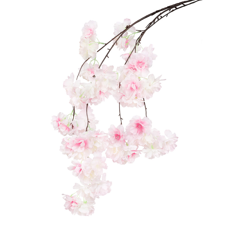 Jet de fleurs de cerisier en cascade, Rose