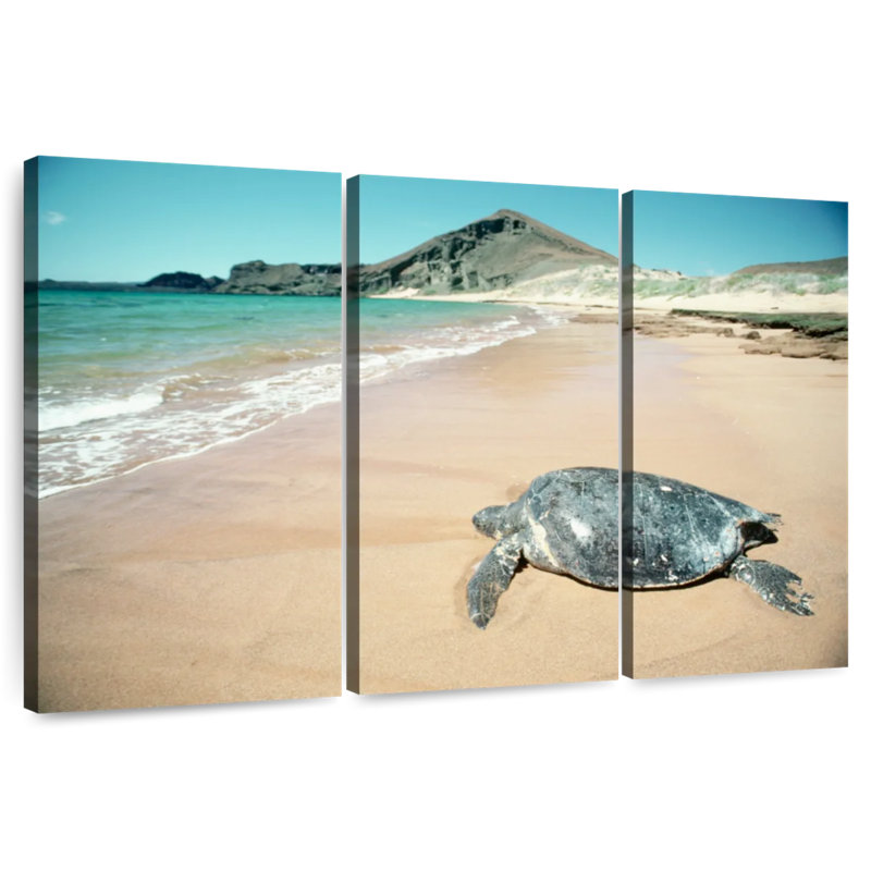 Brampt Galapagos Loggerhead Turtle, 42" H x 65" W