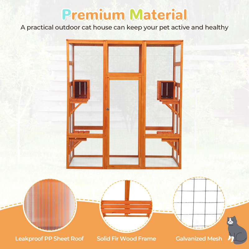 Cat Cage, Orange