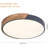 Ceiling Light Dimmable Modern Minimalist LED Round Shaped Metal Flush Mount Ceiling Light With Remote Control-100023126-100023125