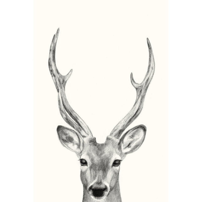 Animal Mug IV by Victoria Borges - Wrapped Canvas Drawing, 122 cm H x 81 cm W, Wrapped Canvas