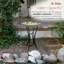 Bain d'oiseaux Aliyah-Lilly
