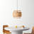 Hickerson 1 - Light Brown/Black Shaded Pendant