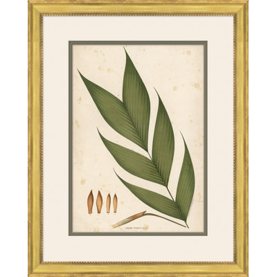 «Palm Leaves 4», peinture sur cadre