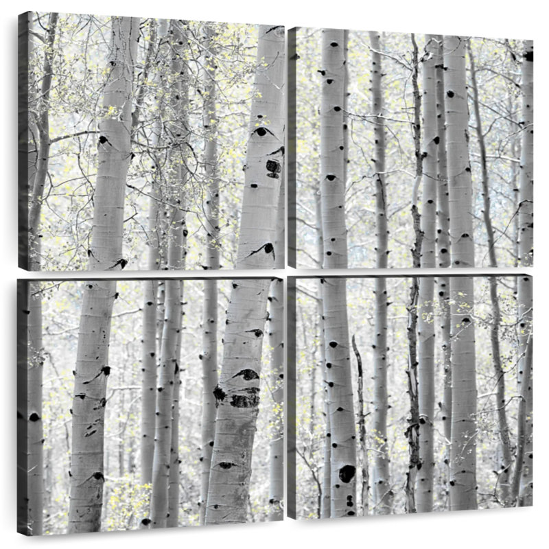 Harnek Aspen Square II