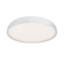 Ringsley Dimmable LED Flush Mount-843758321