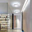 Mataponi 2-Light 27cm LED Flush Mount Ceiling Light-1556924359-1606586985